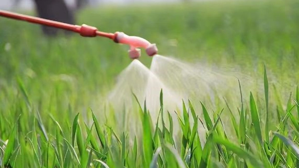 Pesticidas y fertilizantes
